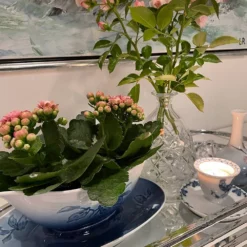 Sauce Bowl On Stand Christmas Rose Service Bing & Grondahl No. 308 Or 563 -Outlet Rosenthal Store 1435563 d